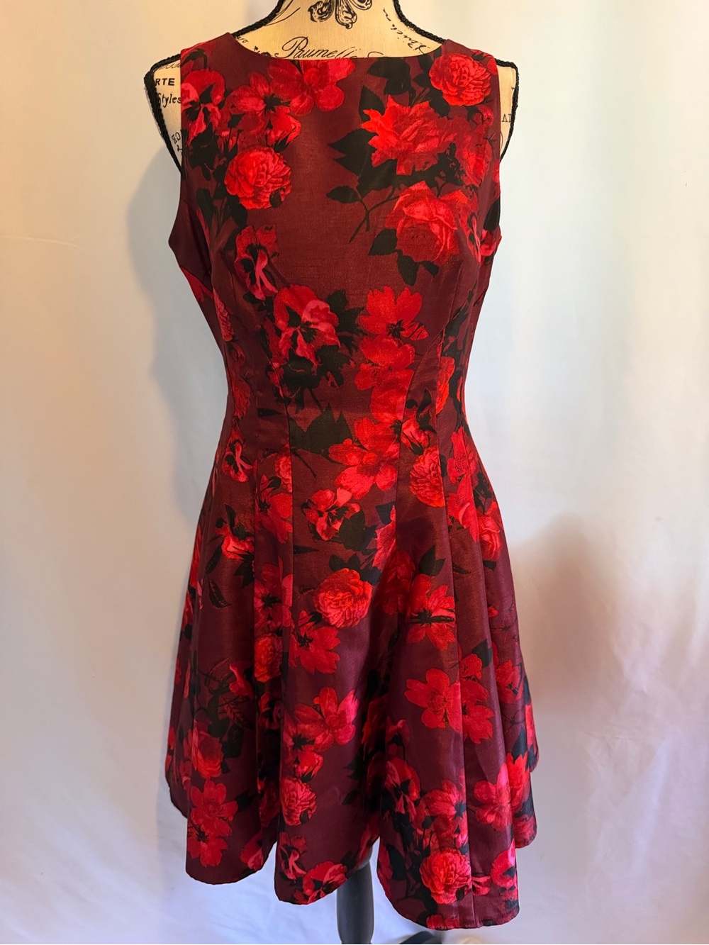 Gabby Skye Red Floral Sleeveless Fit & Flare Dress